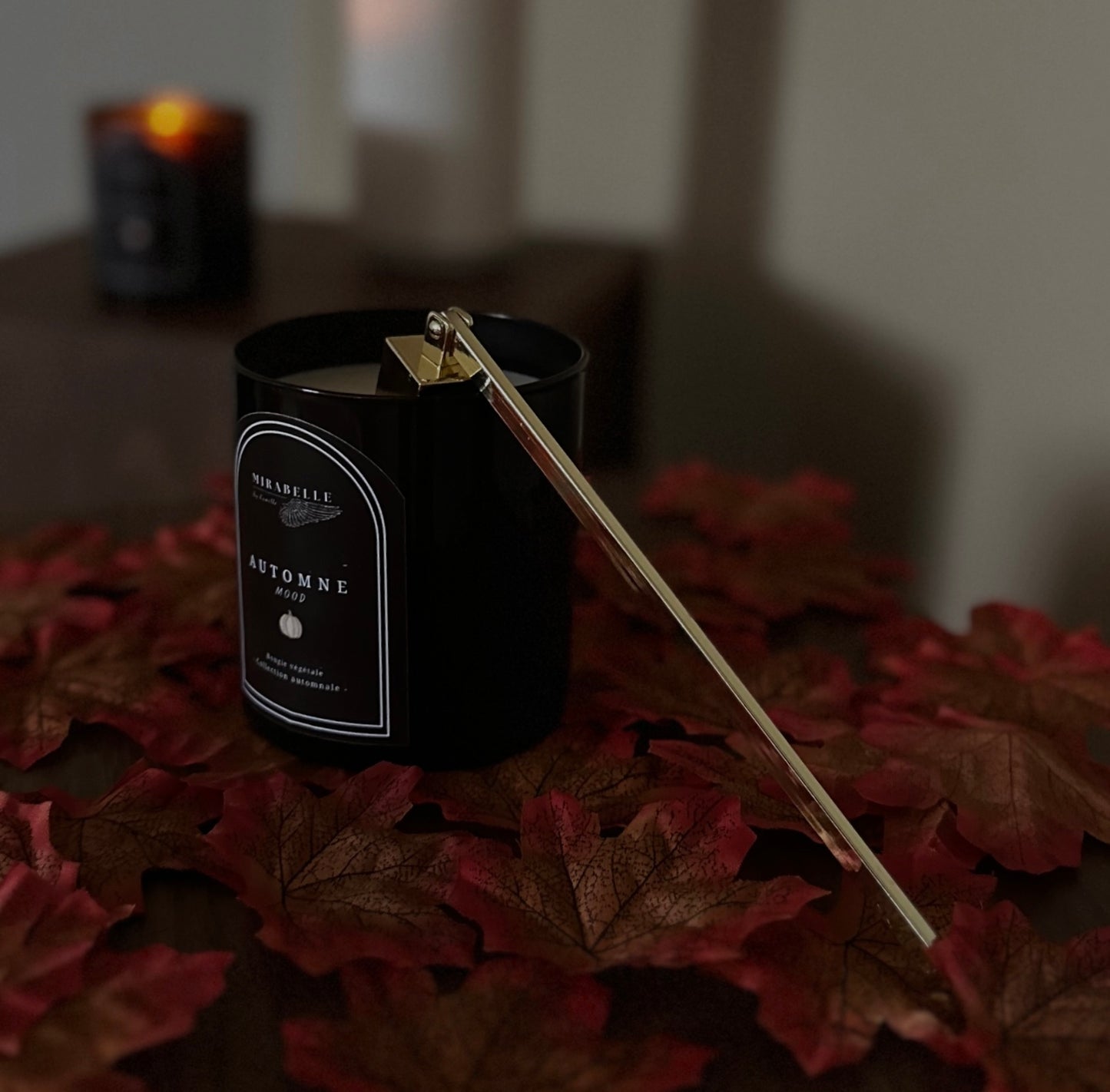 L’éteignoir - Accessoire -