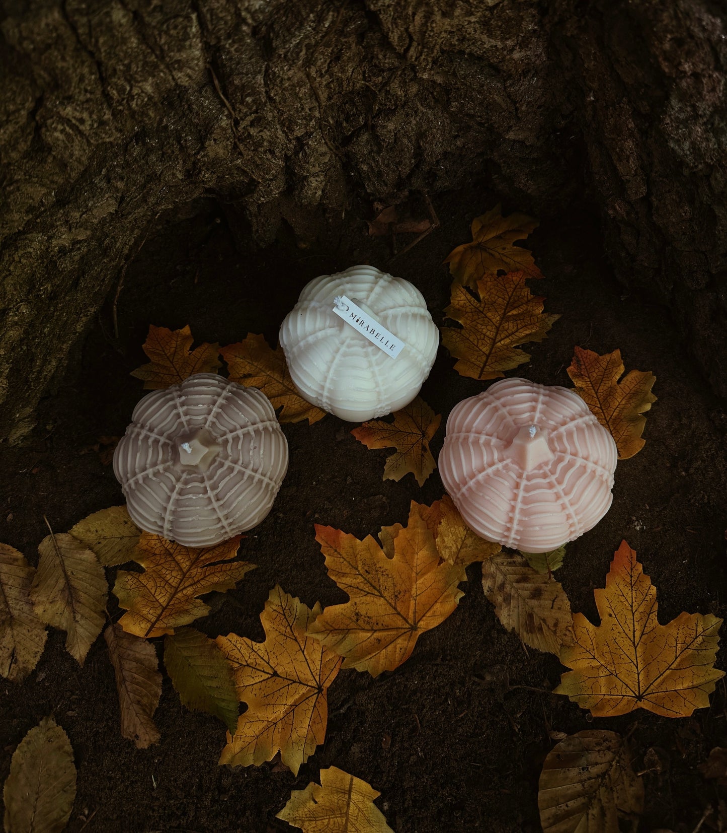 LE TRIO PUMPKIN - Collection d’automne