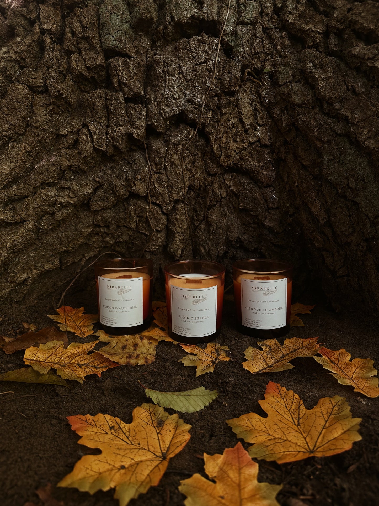 LE TRIO POTS D’AUTOMNE - Collection d’automne