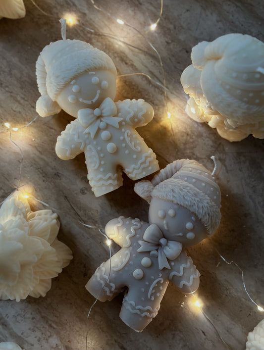 Ti Biscuit  - Collection Hivernale ❄️ -