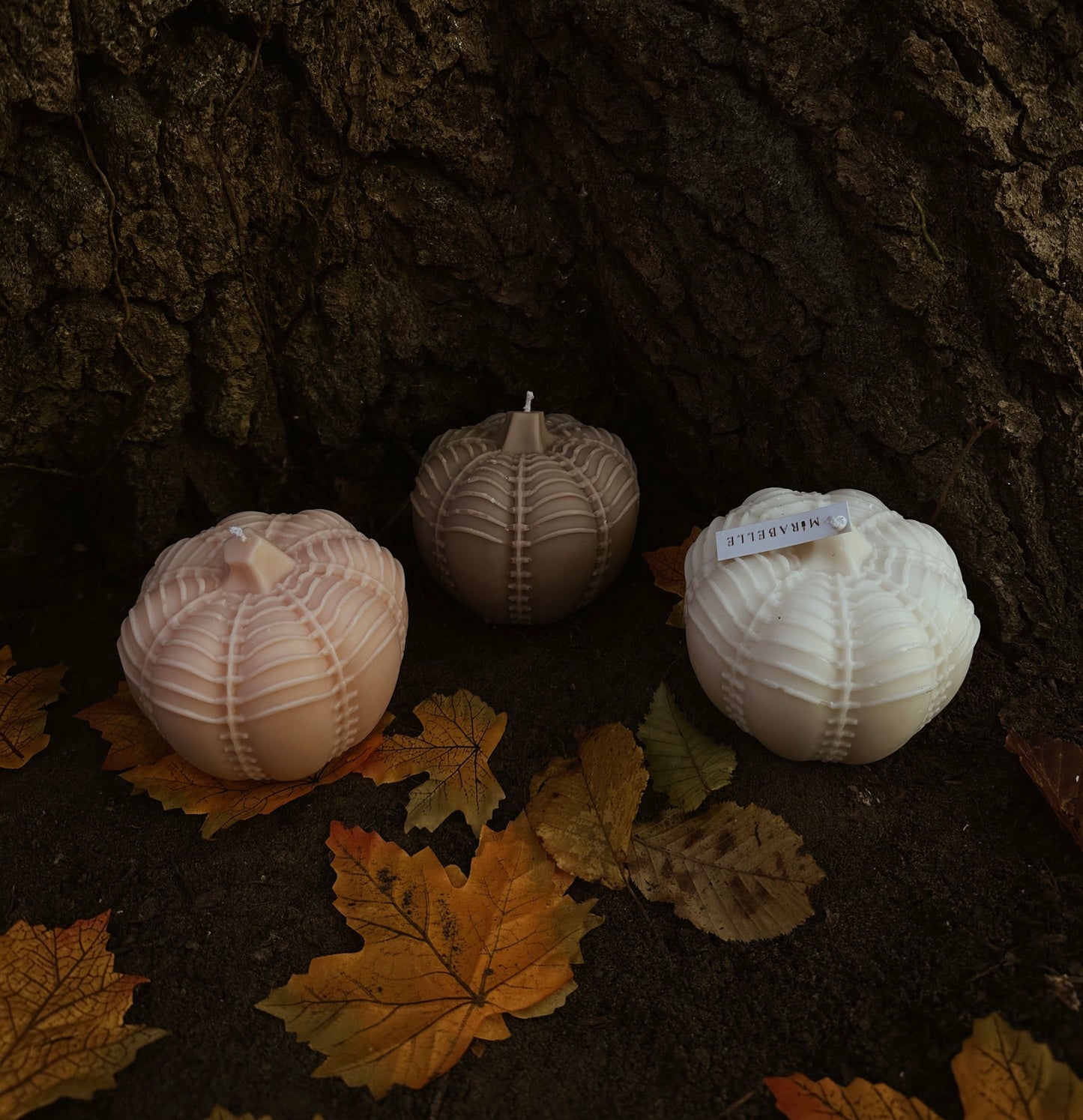 LE TRIO PUMPKIN - Collection d’automne