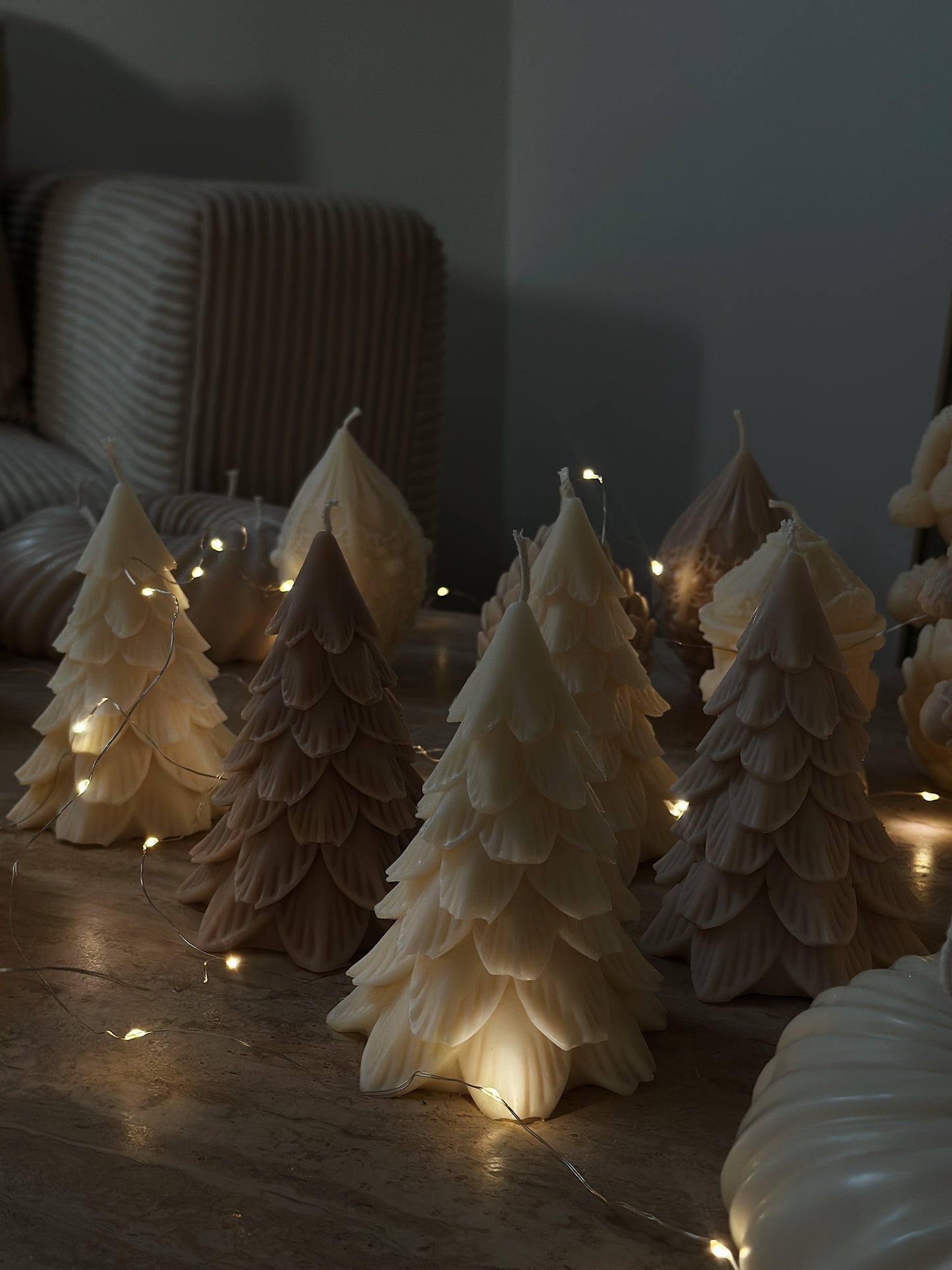 Le Sapin - Collection Hivernale ❄️ -