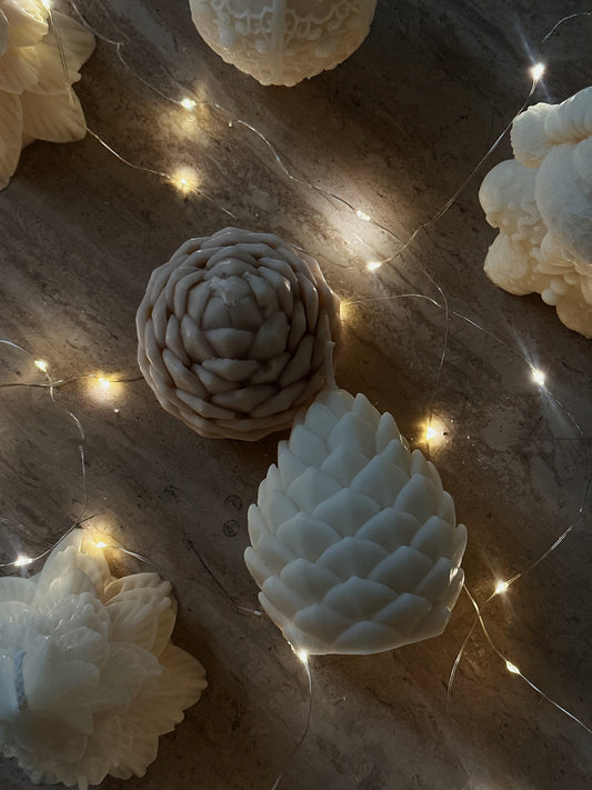 La pomme de Pin - Collection Hivernale - ❄️