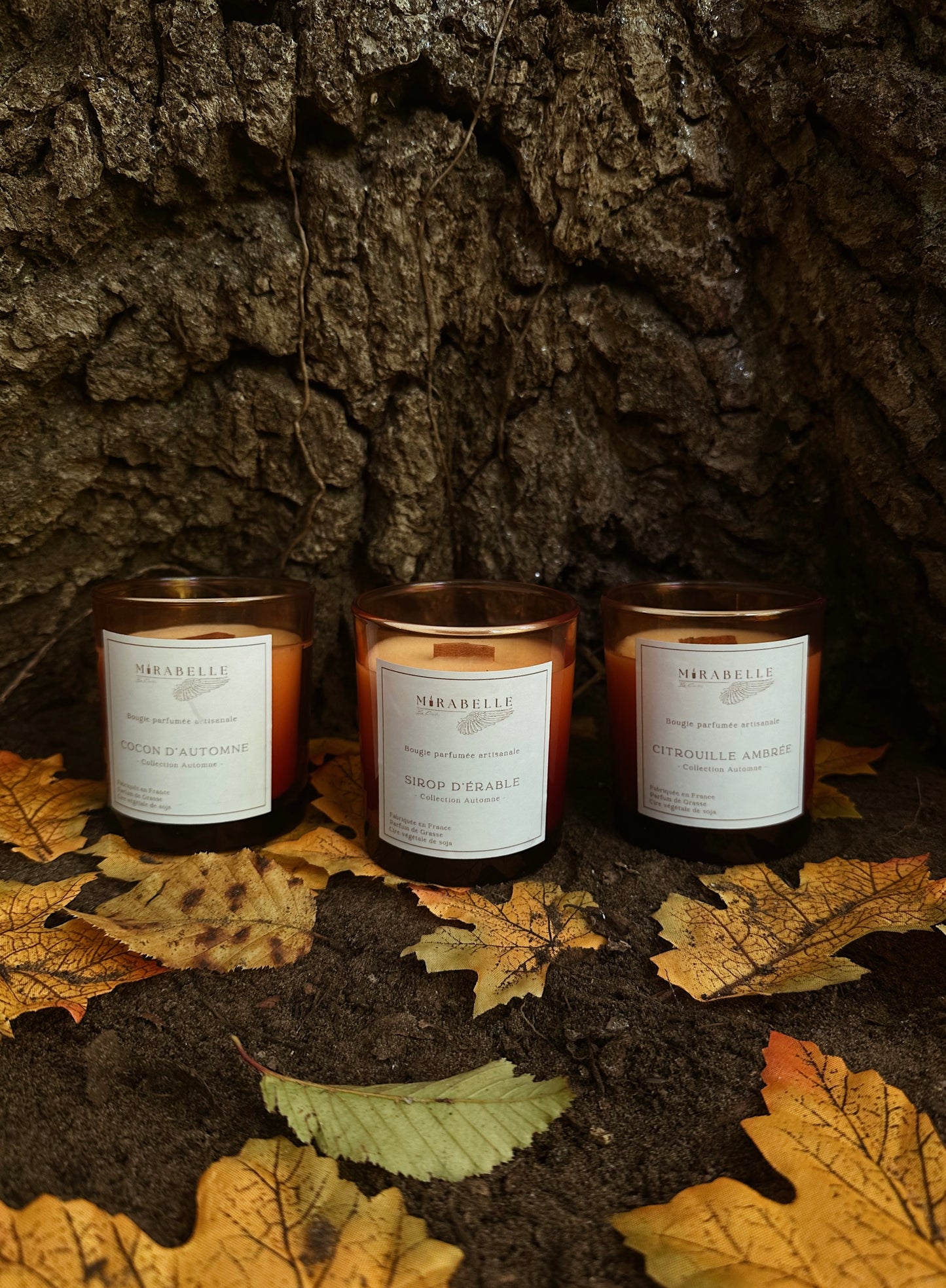 LE TRIO POTS D’AUTOMNE - Collection d’automne