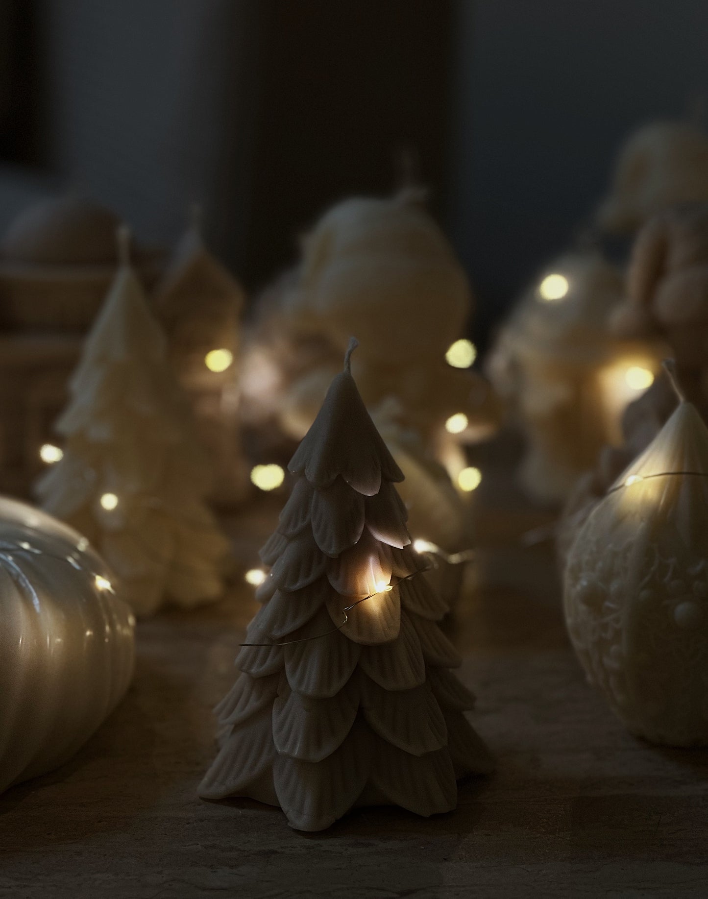 Le Sapin - Collection Hivernale ❄️ -
