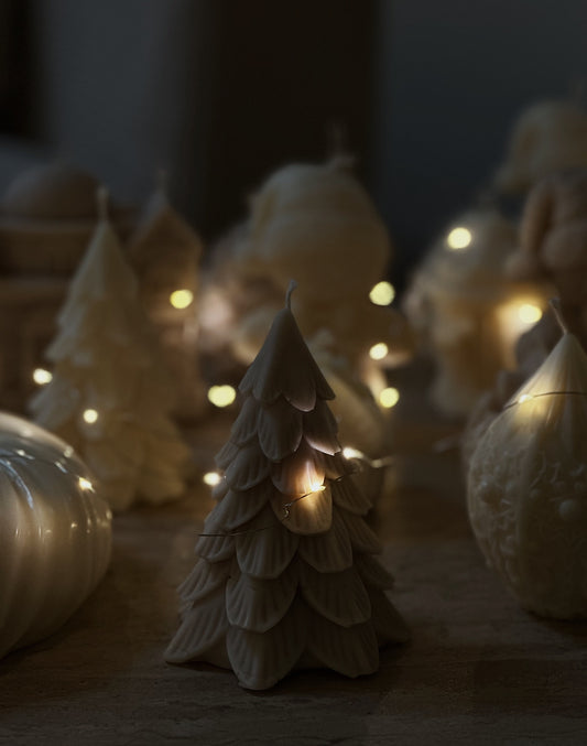 Le Sapin - Collection Hivernale ❄️ -